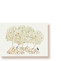 Mangrove | Postkarte