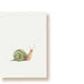 Schnecke | Postkarte