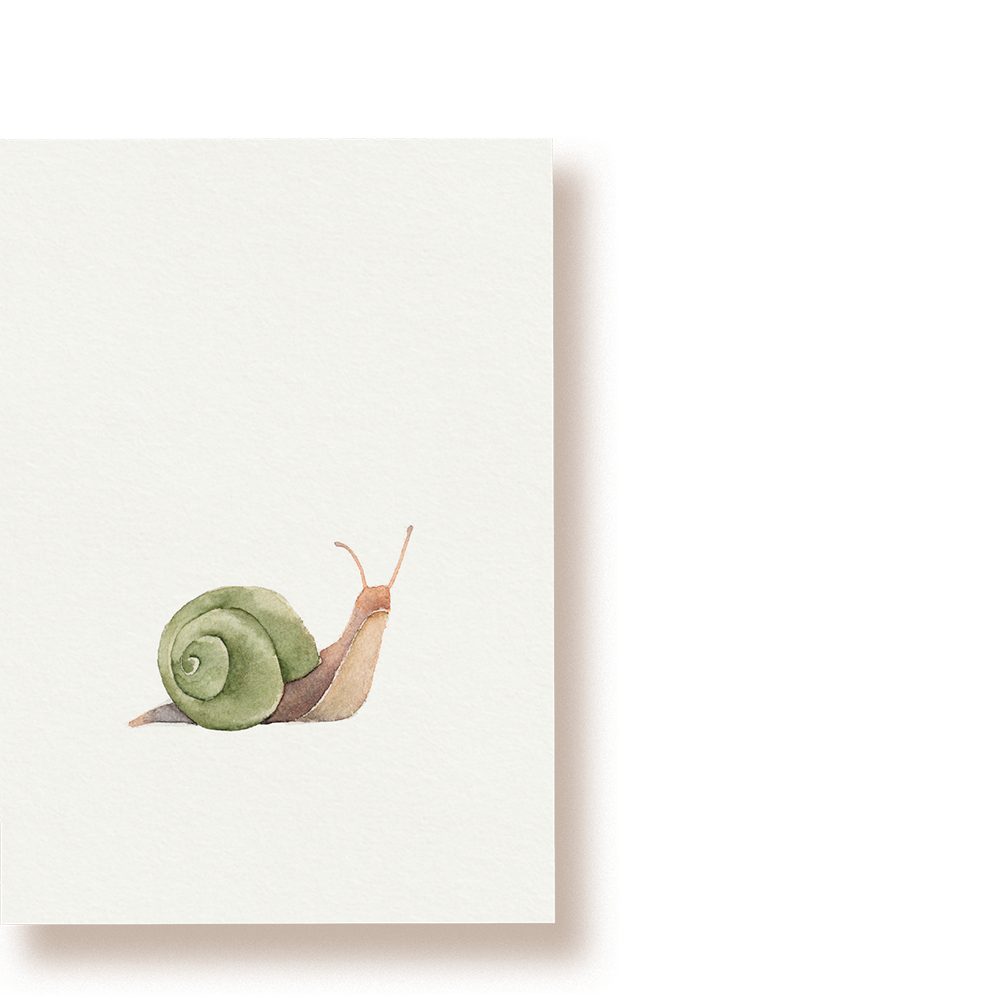 Schnecke | Postkarte