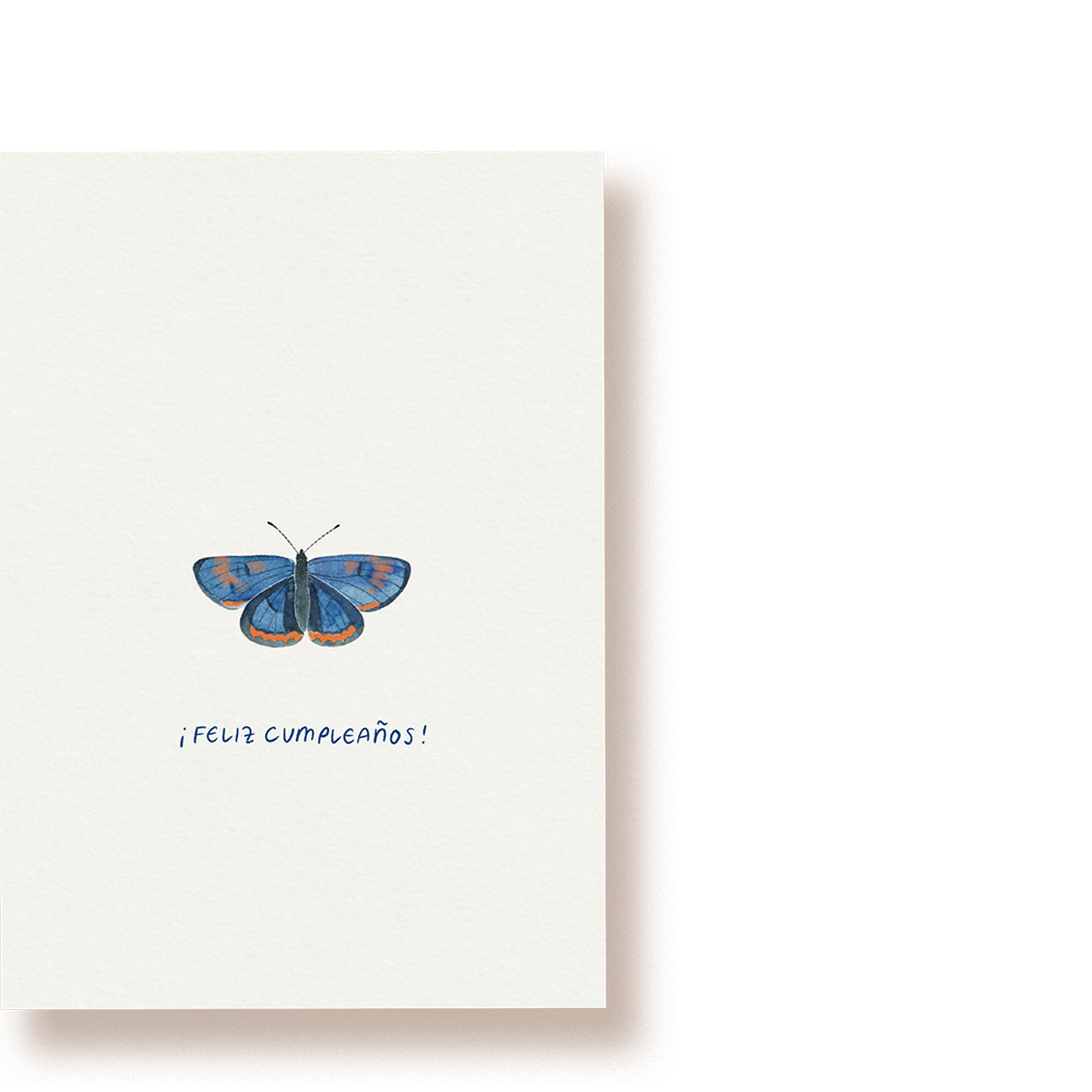 Blauschillernder Feuerfalter | Postkarte