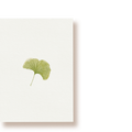Ginko | Postkarte
