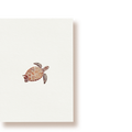 Schildkröte | Postkarte