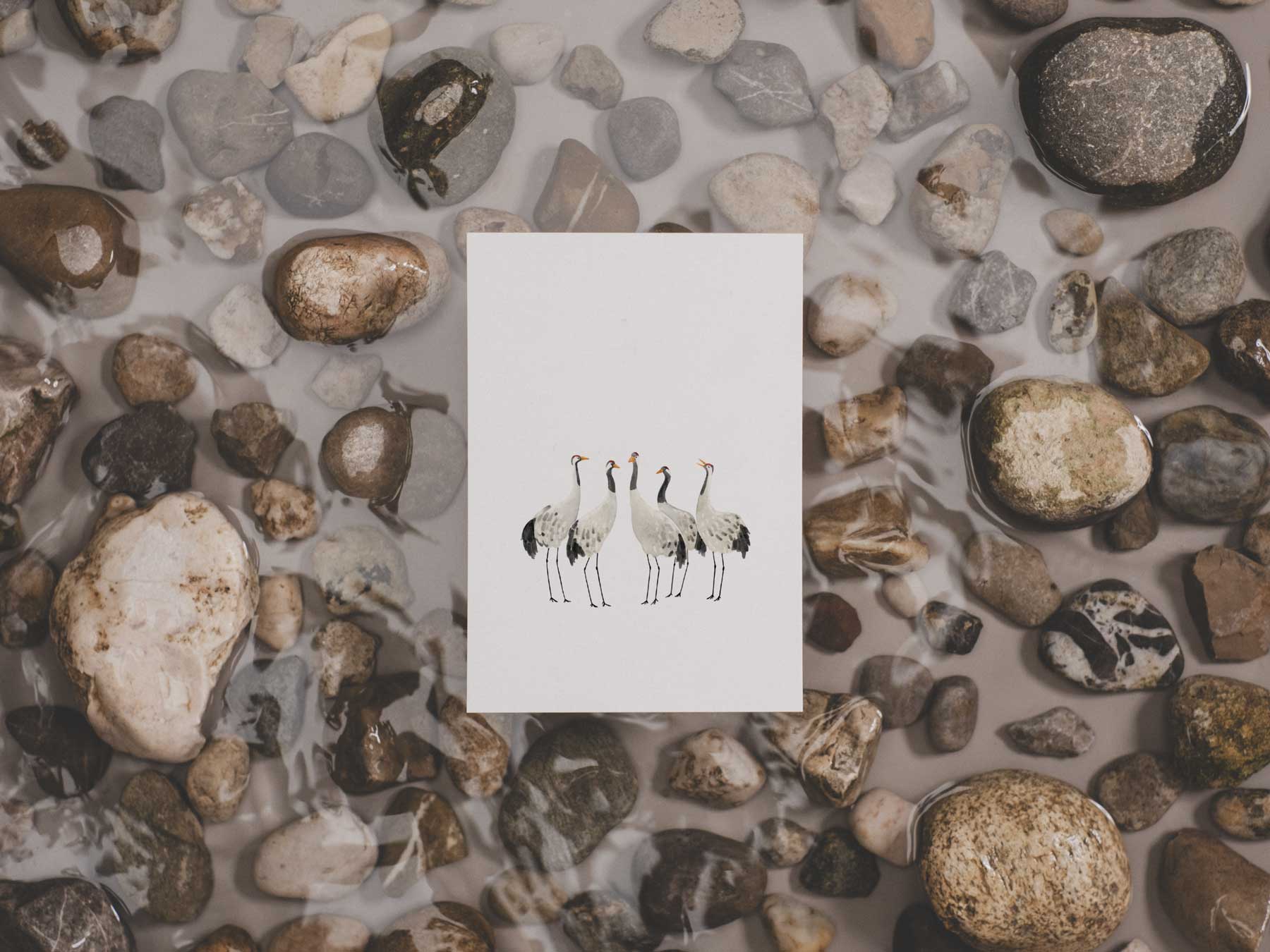 Kranich Familie | Postkarte