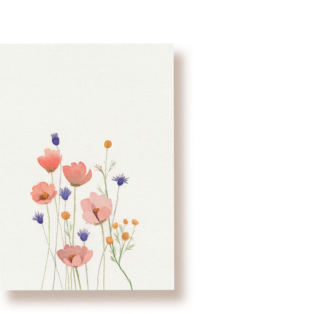 Blumenwiese | Postkarte