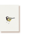 Kohlmeise | Postkarte