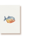Piranha | Postkarte