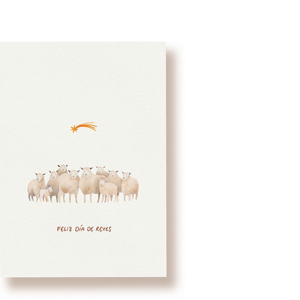 Schafe Weihnachten | Postkarte