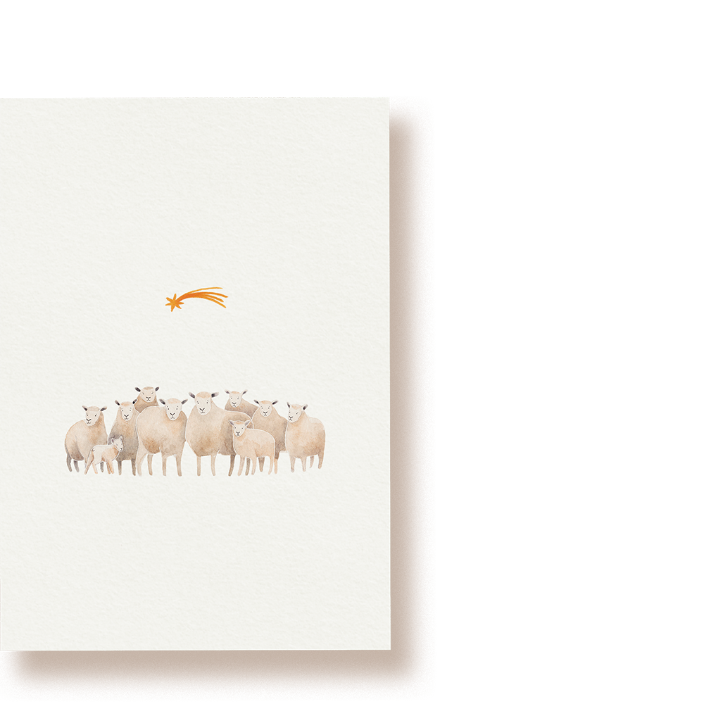 Schafe Weihnachten | Postkarte