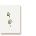 Maus und Mohn | Postkarte