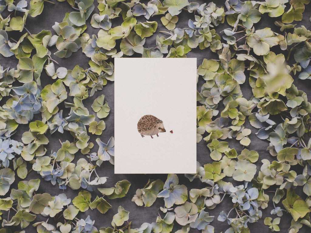 Igel | Postkarte