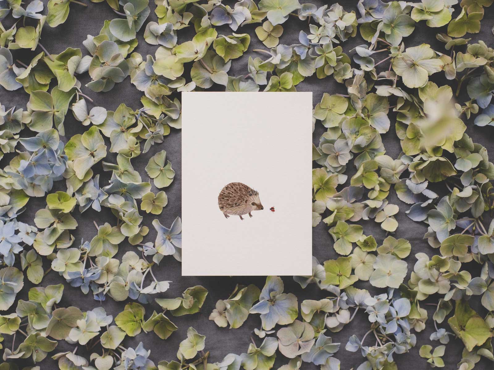 Igel | Postkarte