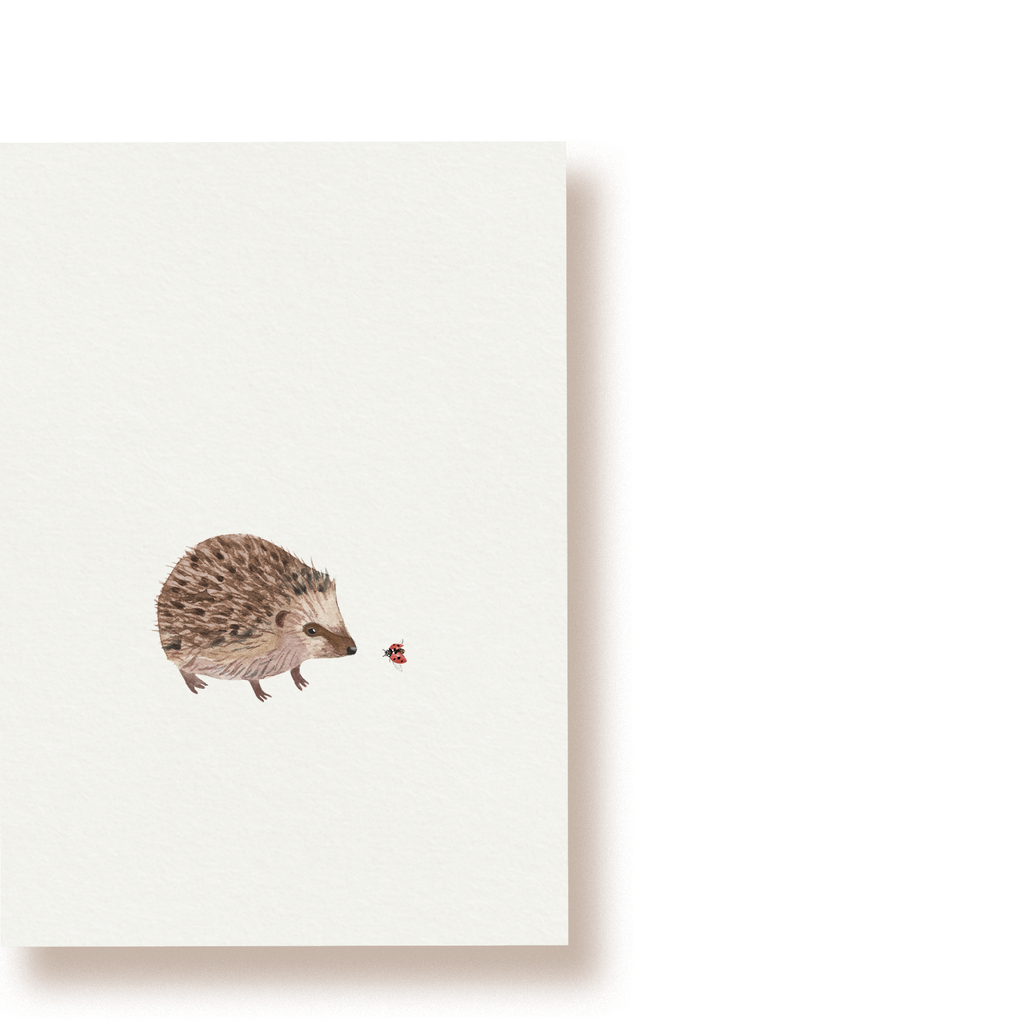 Igel | Postkarte