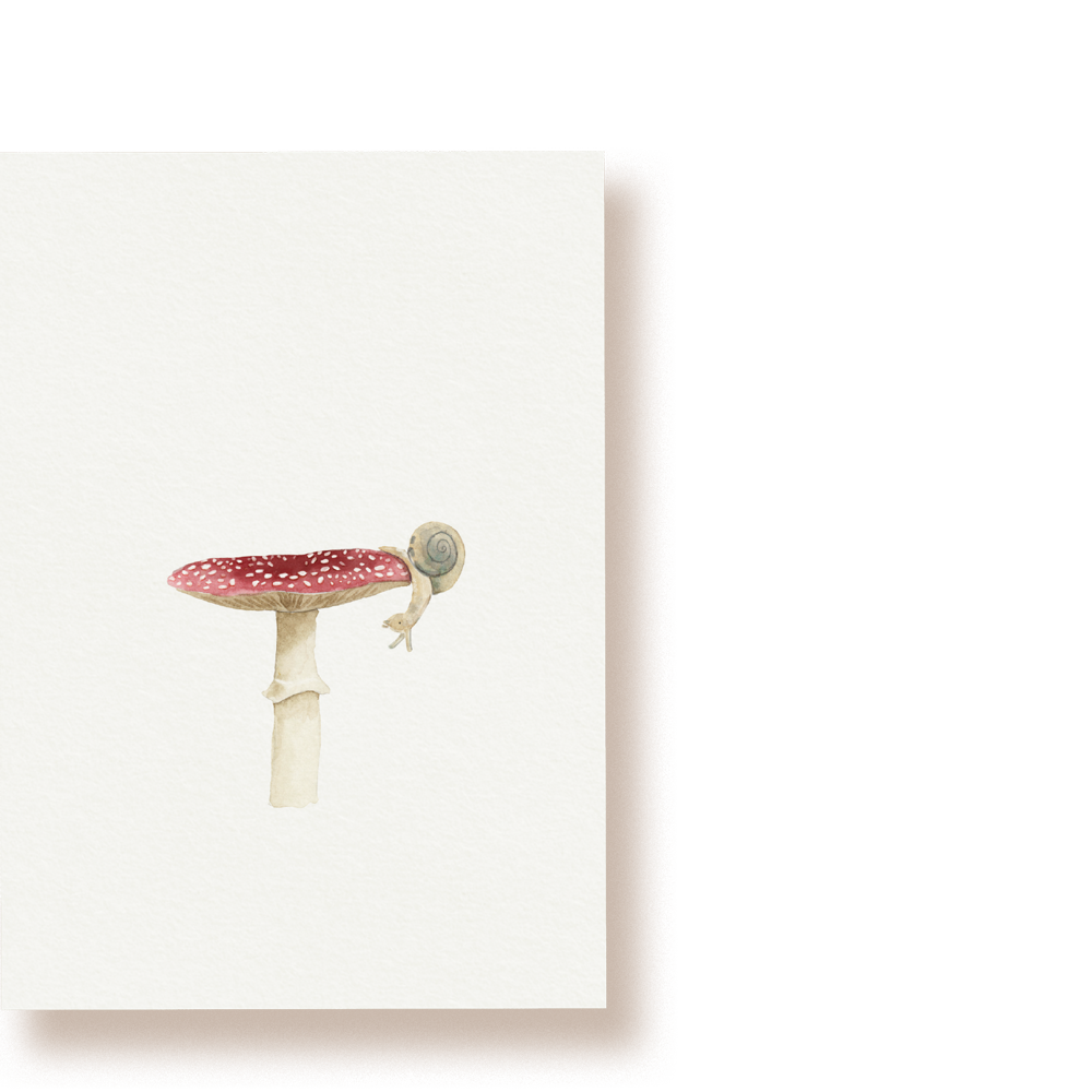 Glückspilz | Postkarte