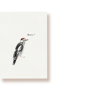 Bravo Specht! | Postkarte