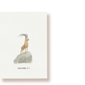 You made it! Steinbock  | Postkarte
