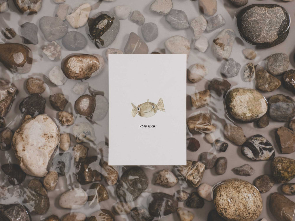 Kopf hoch! Kugelfisch | Postkarte
