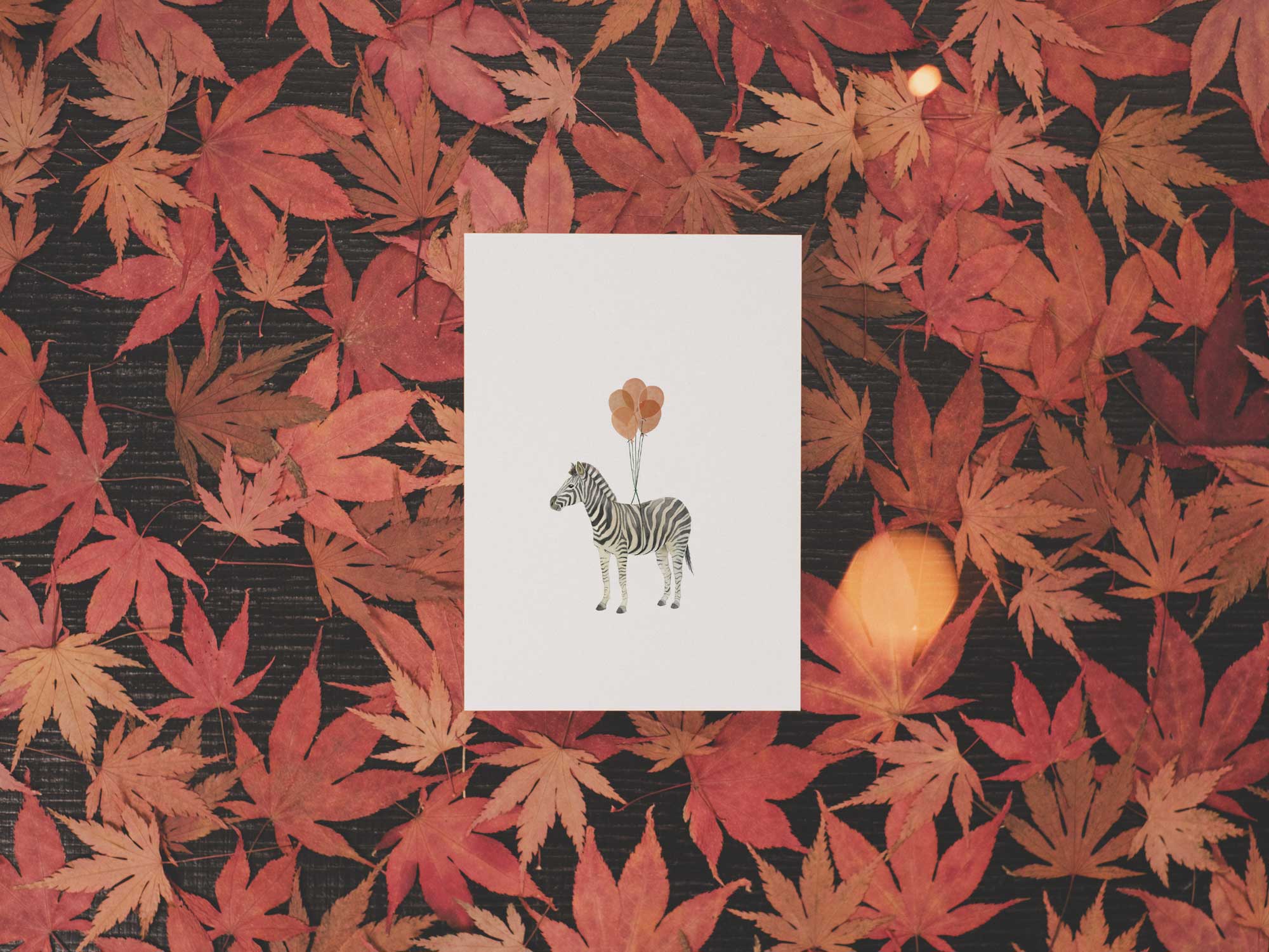 Zebra mit Luftballons  | Postkarte