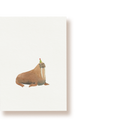 Walross  | Postkarte