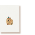 Wombat | Postkarte