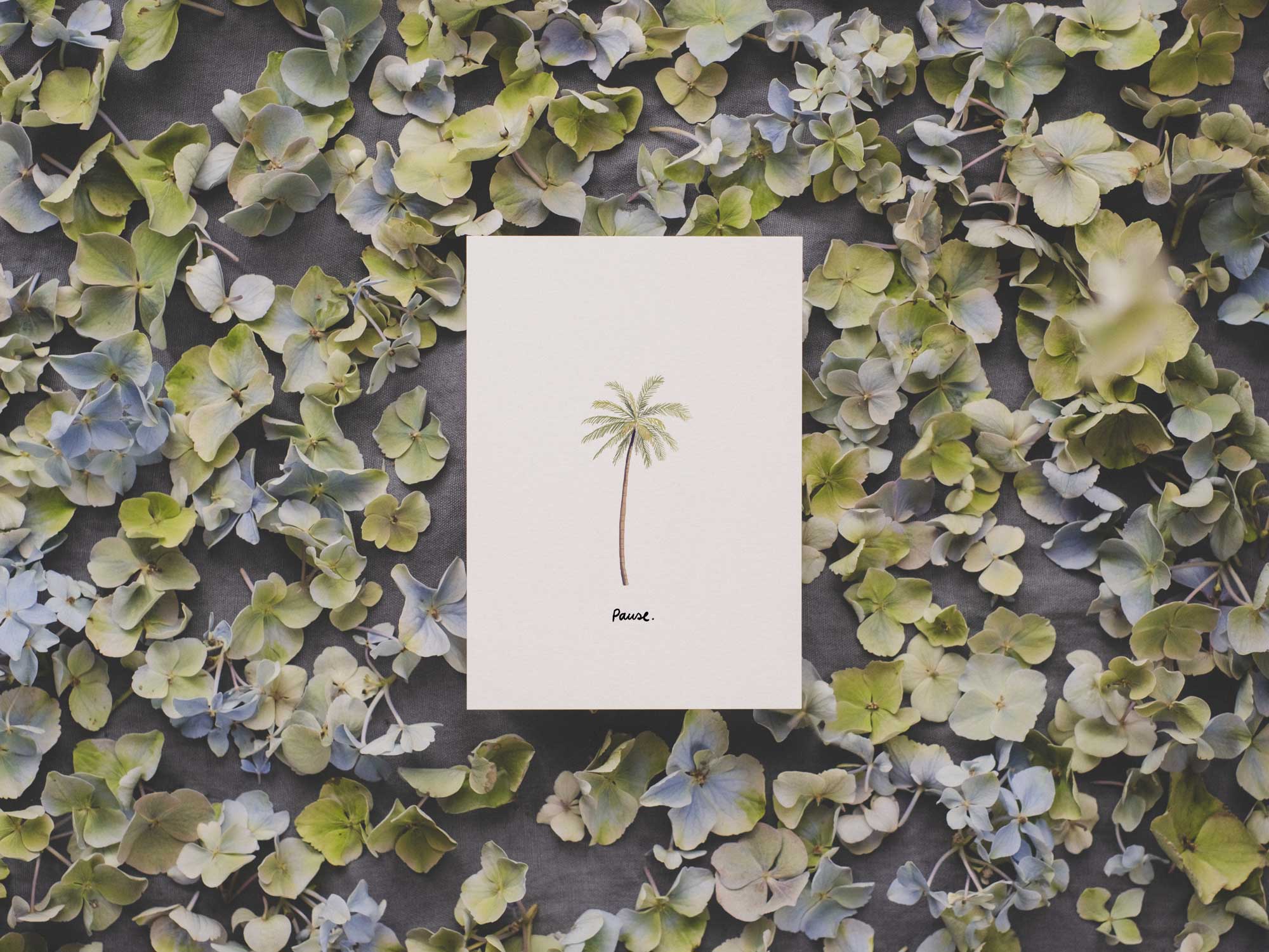 Pause. Palme  | Postkarte