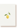 Zitrone | Postkarte