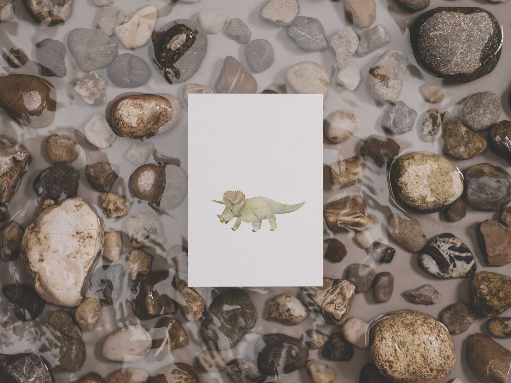 Triceratops | Postkarte