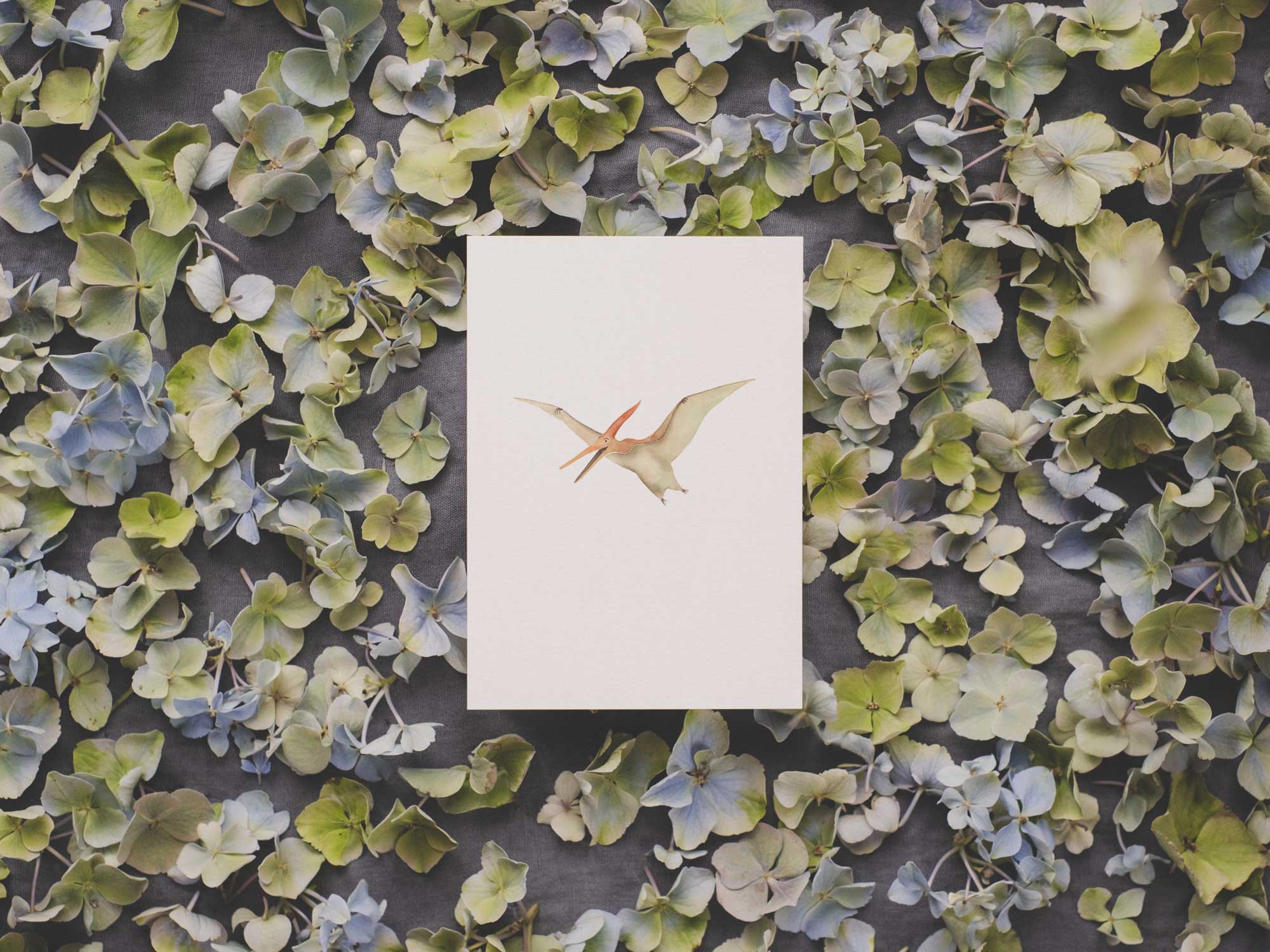Pteranodon | Postkarte