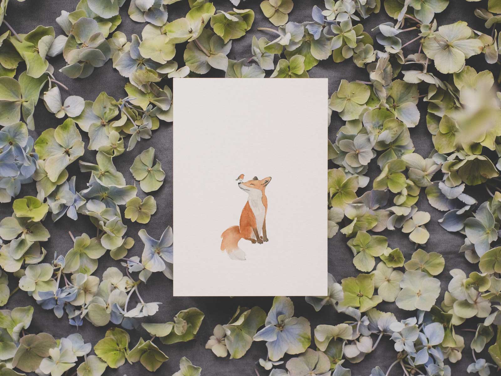 Fuchs und Rotkehlchen | Postkarte