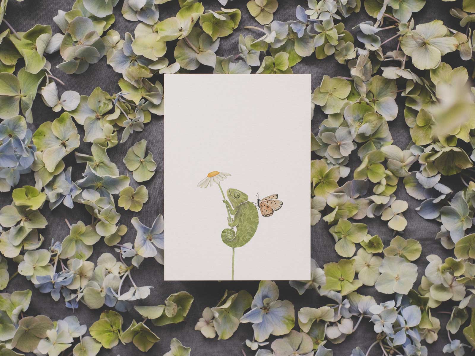 Chamäleon | Postkarte