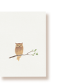 Eule | Postkarte
