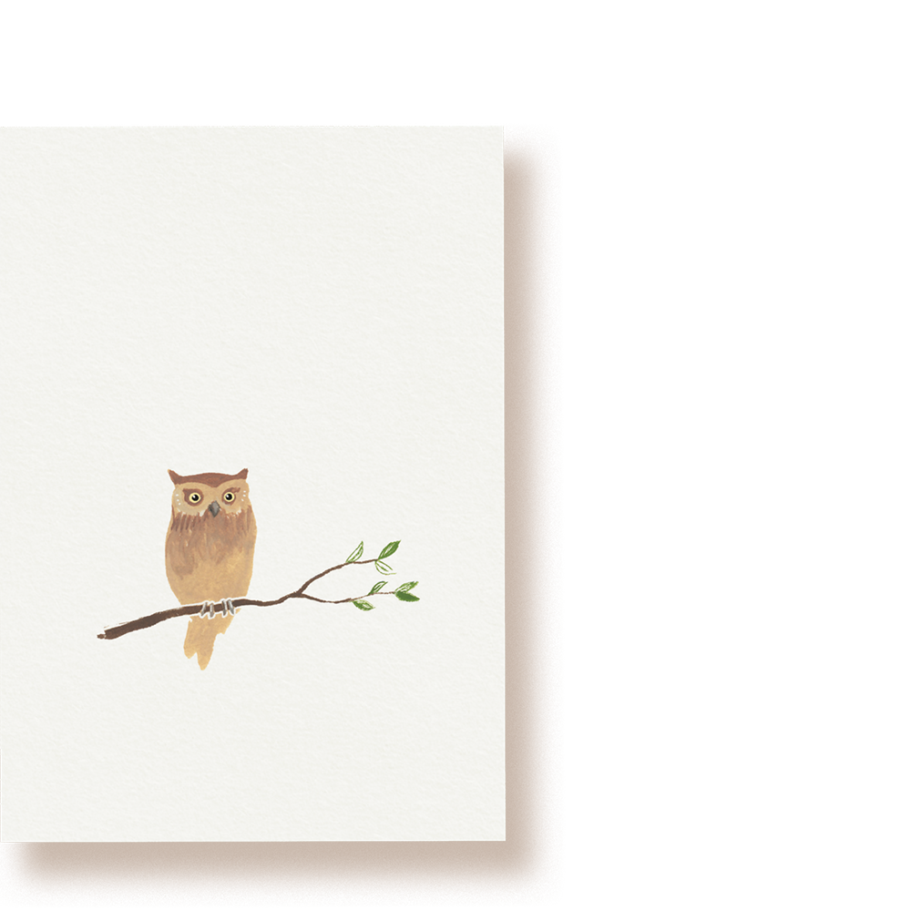 Eule | Postkarte