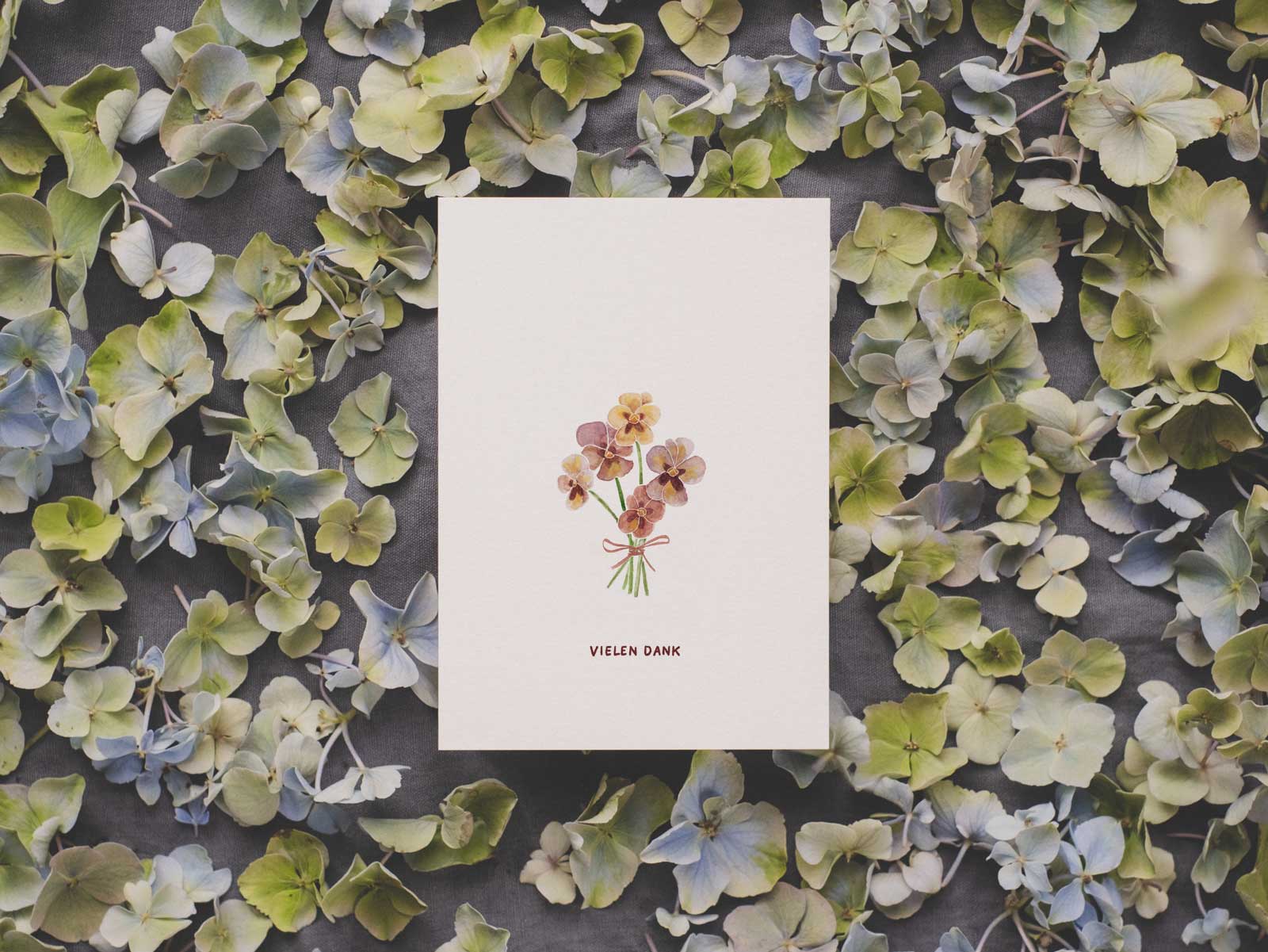 Stiefmütterchen | Postkarte