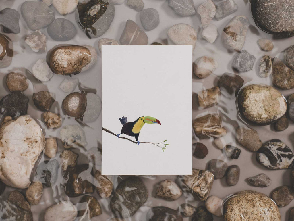Fischertukan | Postkarte