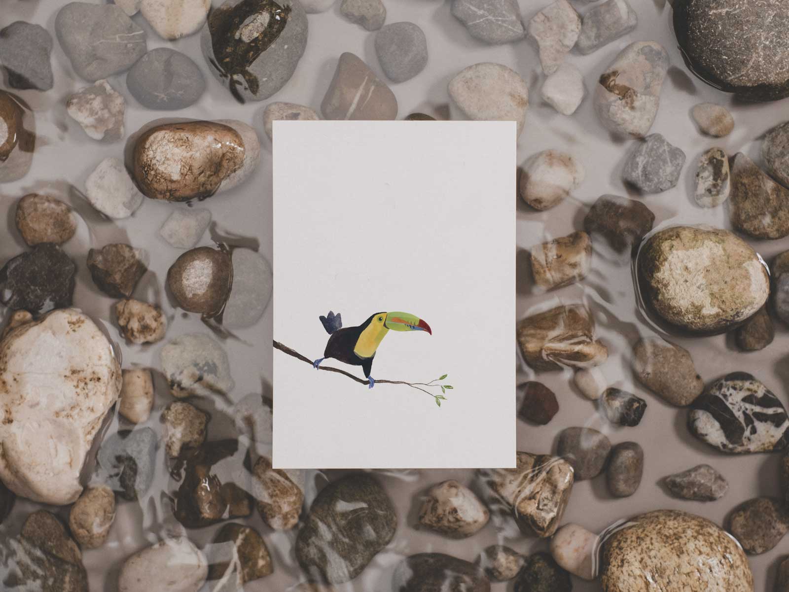 Fischertukan | Postkarte