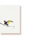 Fischertukan | Postkarte