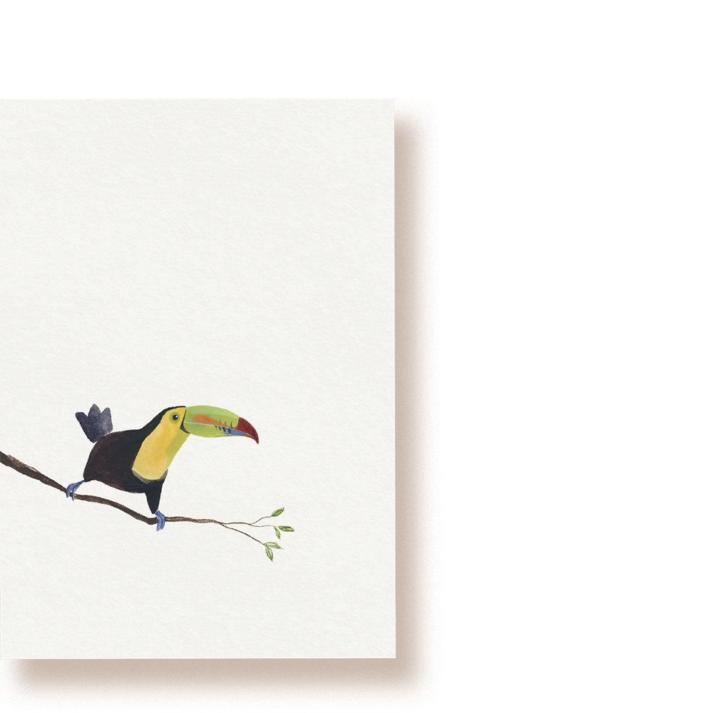 Fischertukan | Postkarte