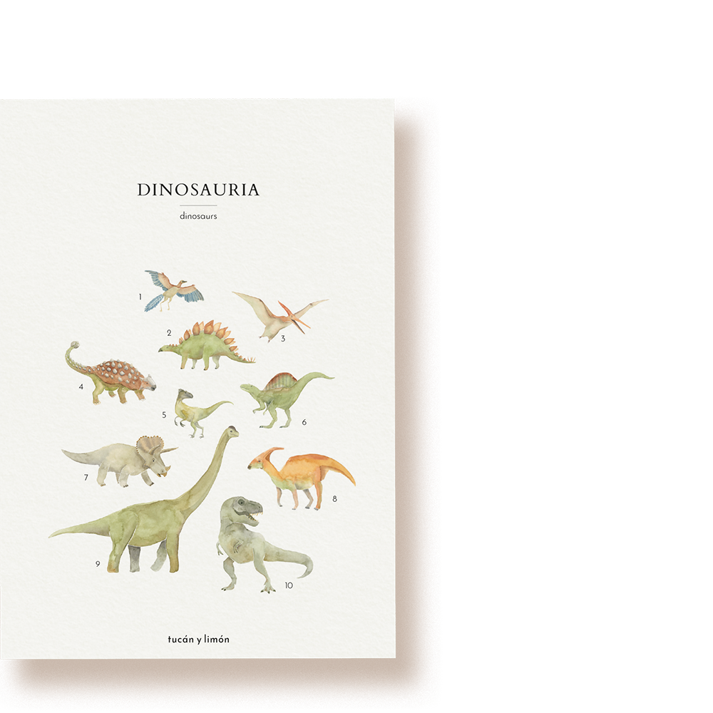 Dinosaurier | Postkarte