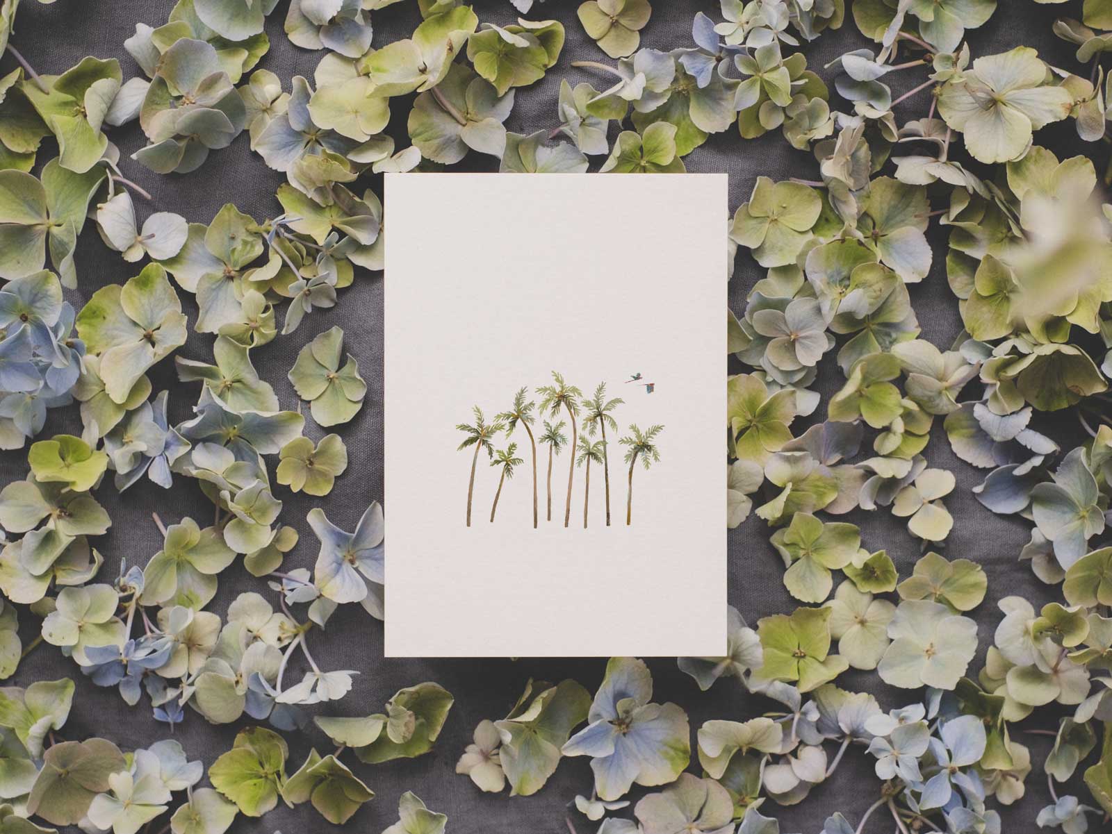 Palmenwald | Postkarte