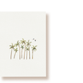 Palmenwald | Postkarte