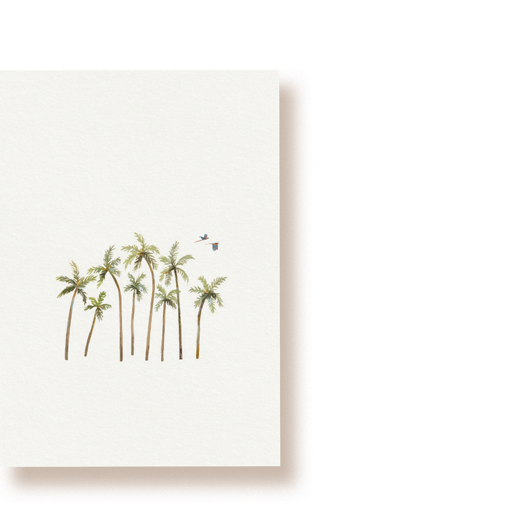 Palmenwald | Postkarte