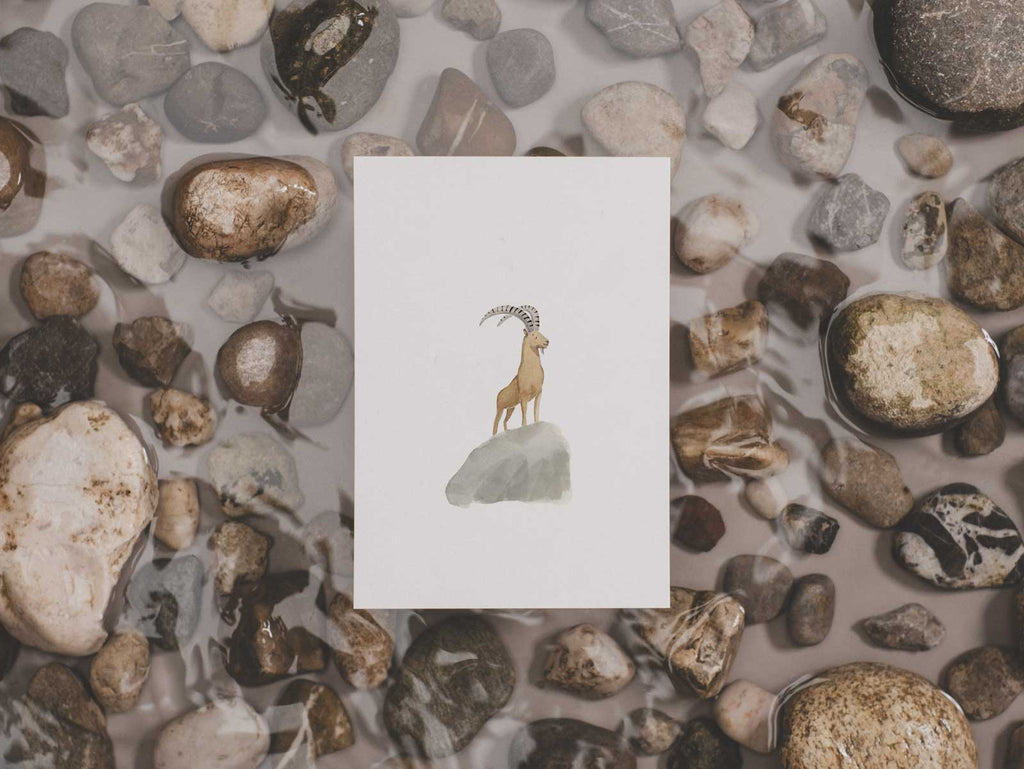 Steinbock | Postkarte
