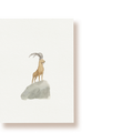 Steinbock | Postkarte