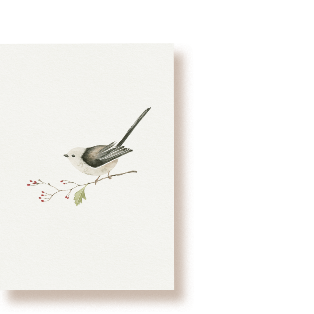 Schwanzmeise | Postkarte