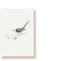 Schwanzmeise | Postkarte