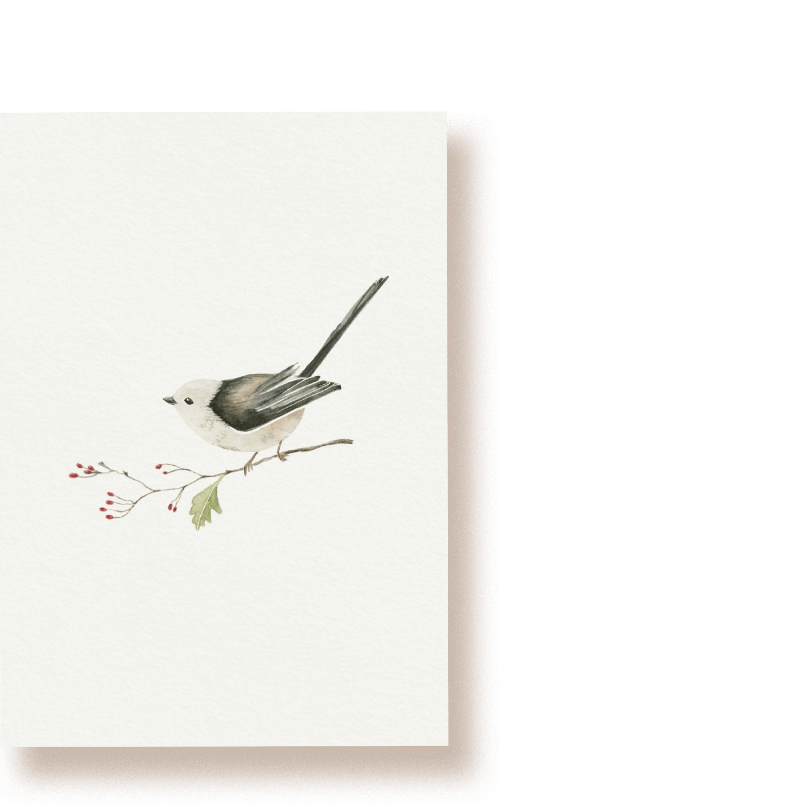 Schwanzmeise | Postkarte