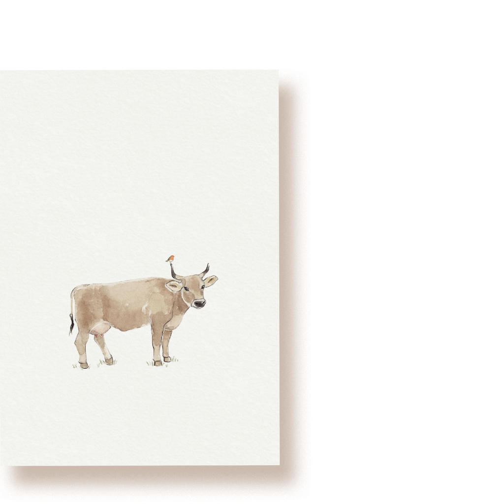 Kuh mit Rotkehlchen | Postkarte