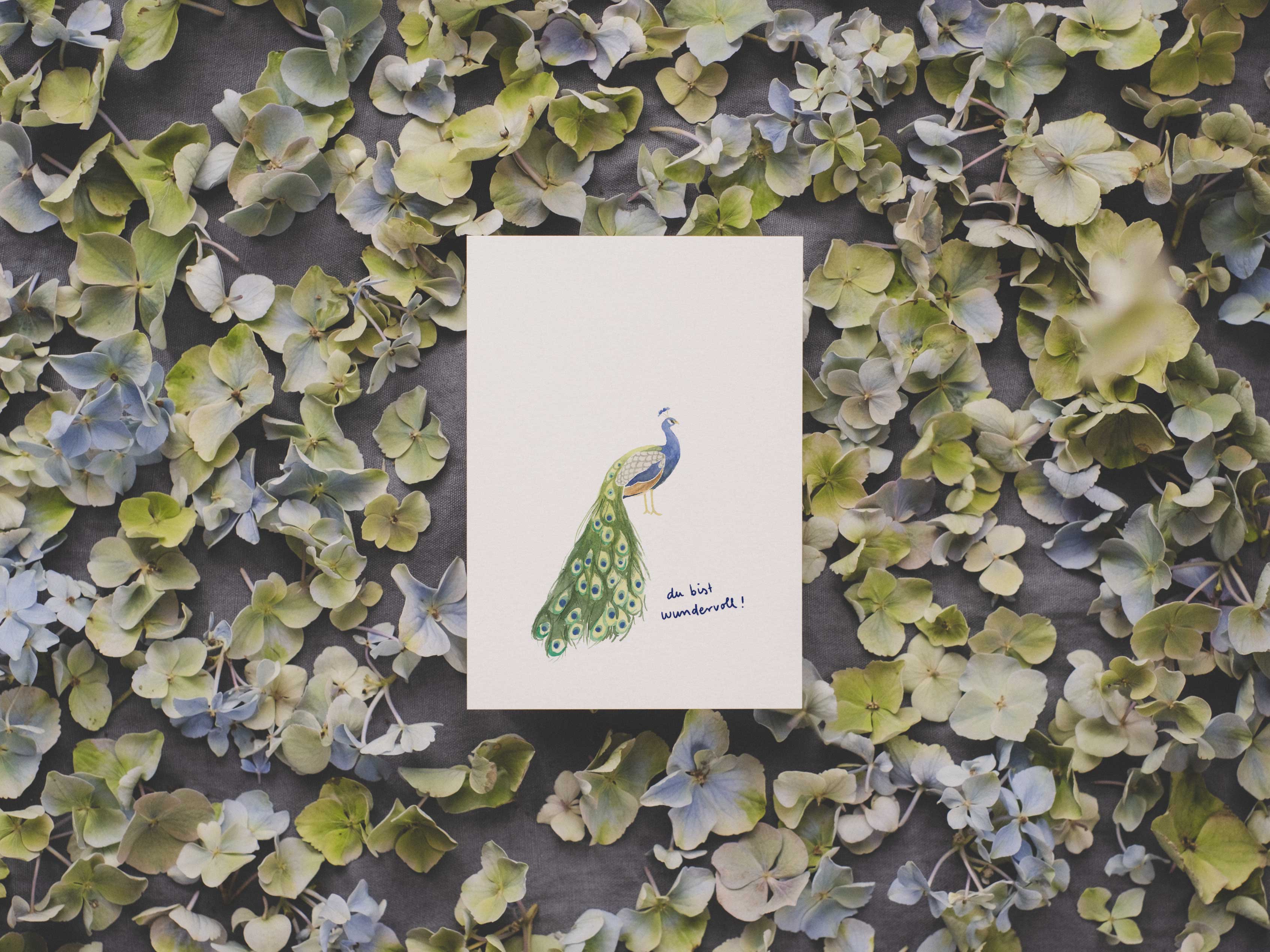 Pfau - du bist wundervoll! | Postkarte