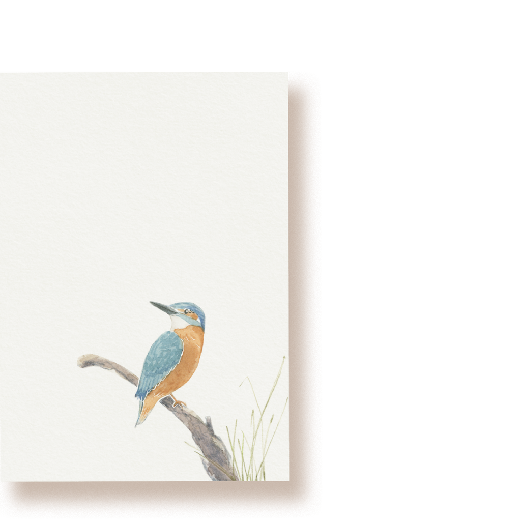 Eisvogel | Postkarte