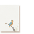 Eisvogel | Postkarte