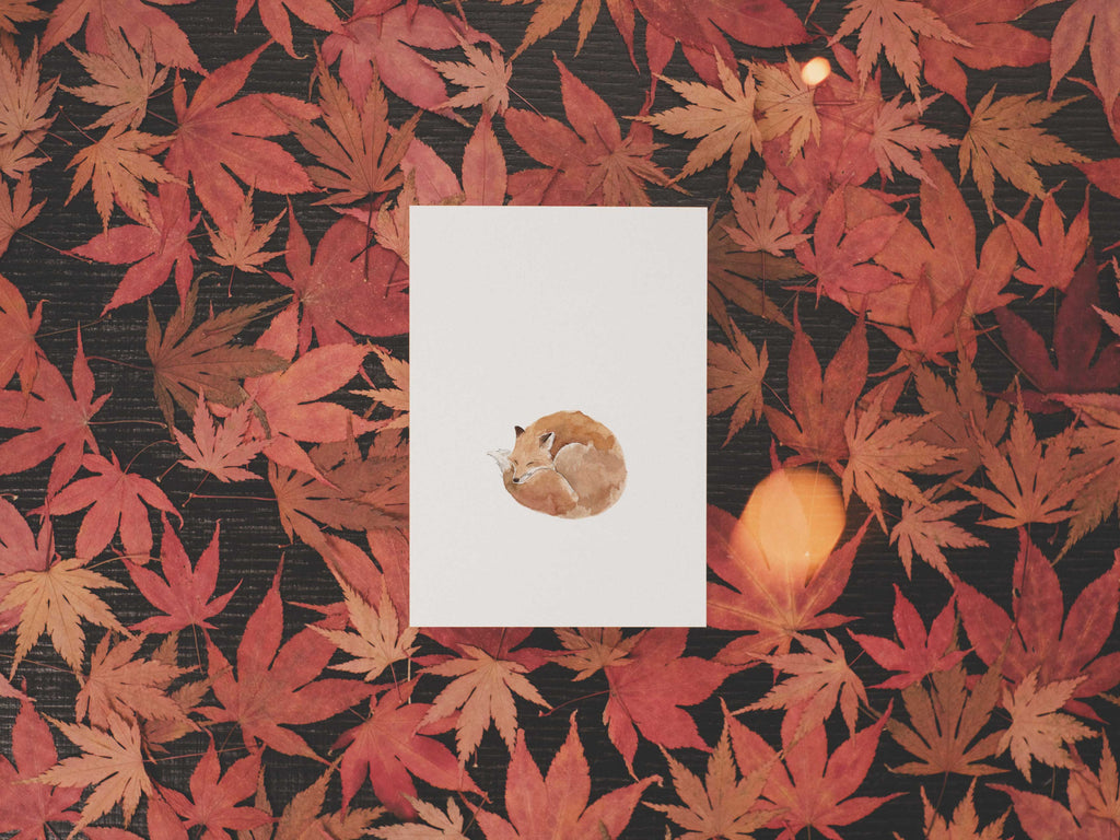 Fuchs | Postkarte